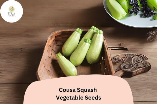 Cousa Squash Seeds | Lebanese Heirloom Vegetable Garden