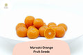 Murcott Orange Seeds | Sweet Tangor Citrus reticulata