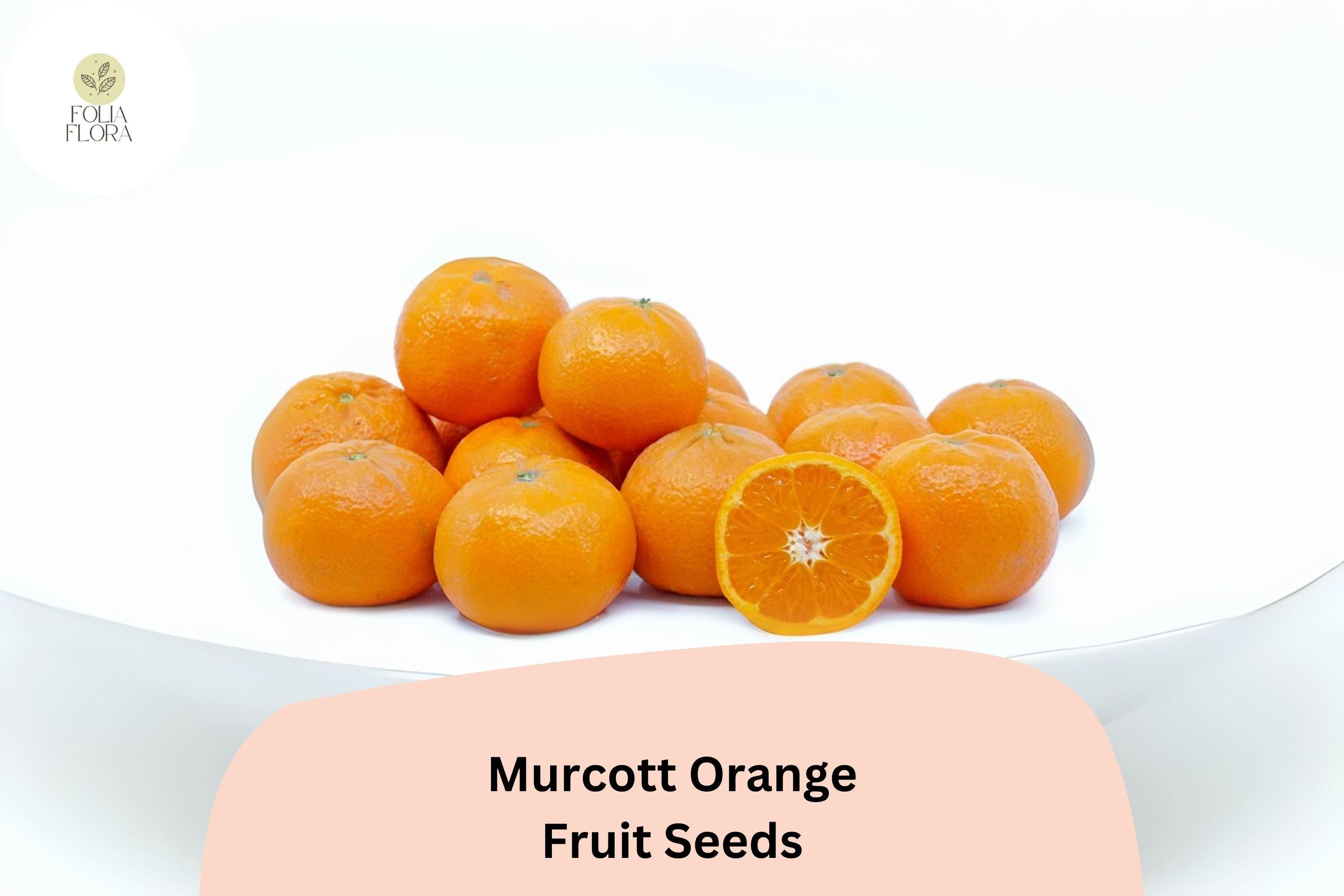 Murcott Orange Seeds | Sweet Tangor Citrus reticulata