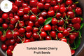 Turkish Sweet Cherry Tree Seeds | Heirloom Prunus Avium