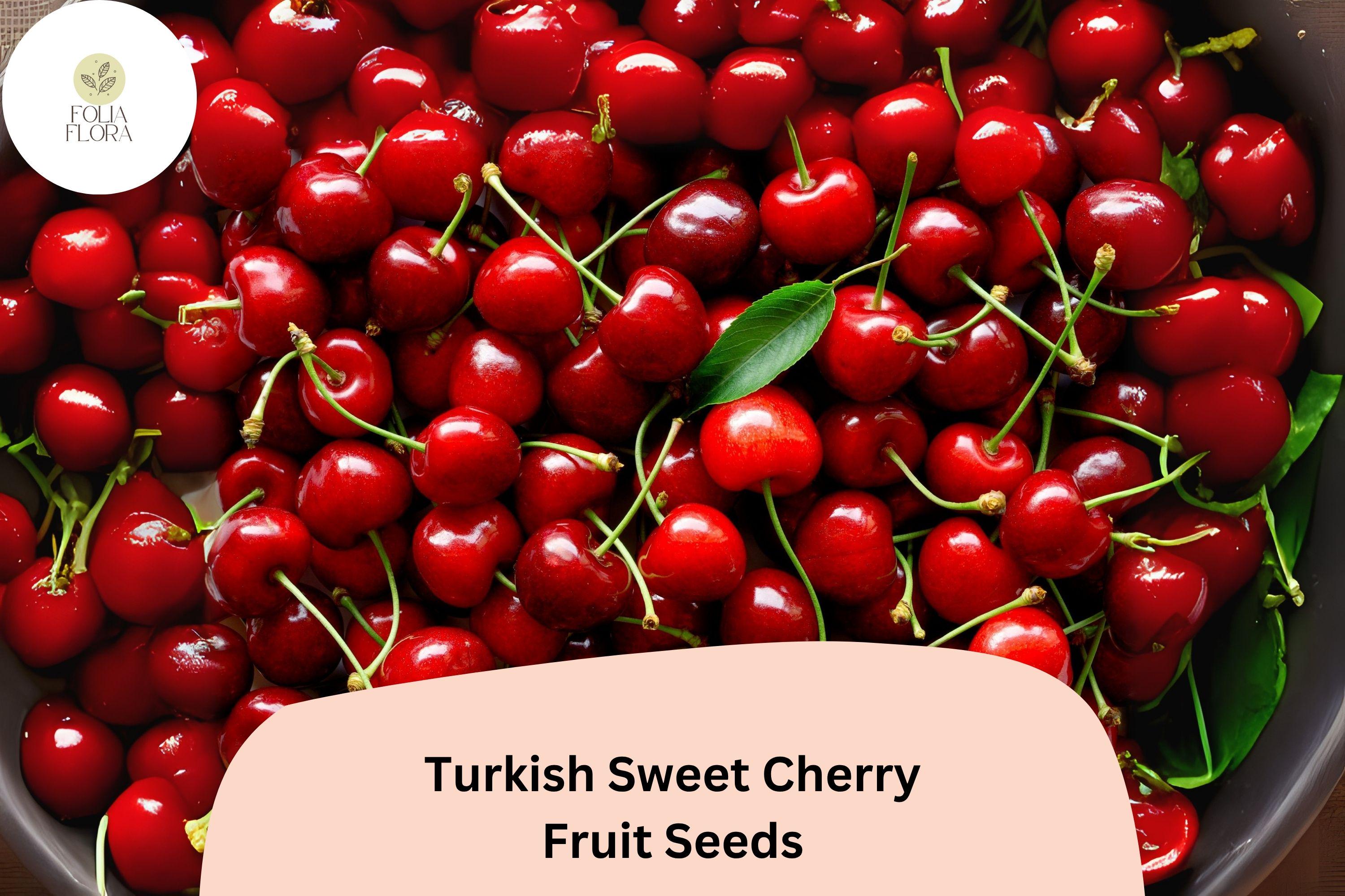 Turkish Sweet Cherry Tree Seeds | Heirloom Prunus Avium
