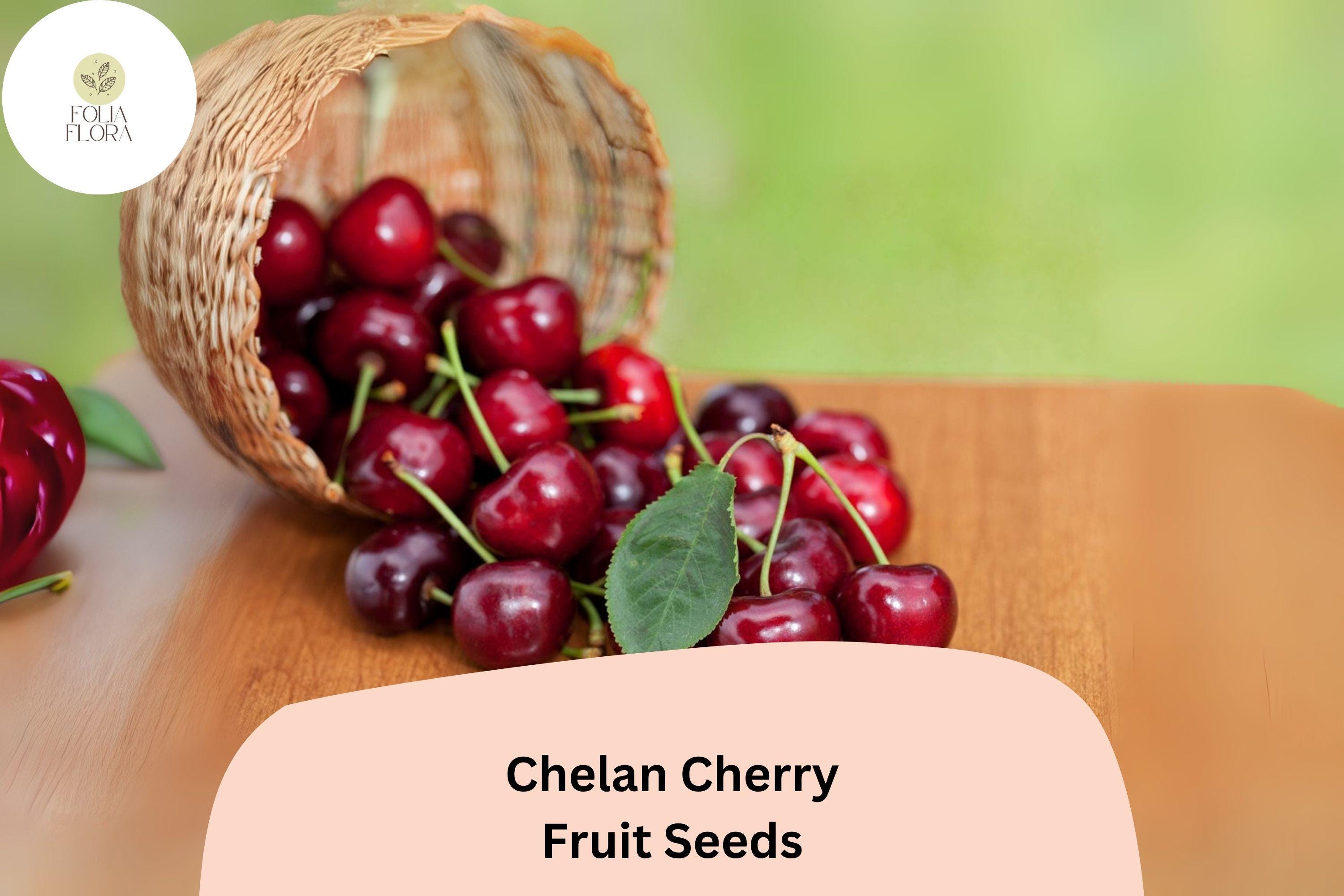 Chelan Cherry Seeds | Early Season Sweet Fruit Tree
