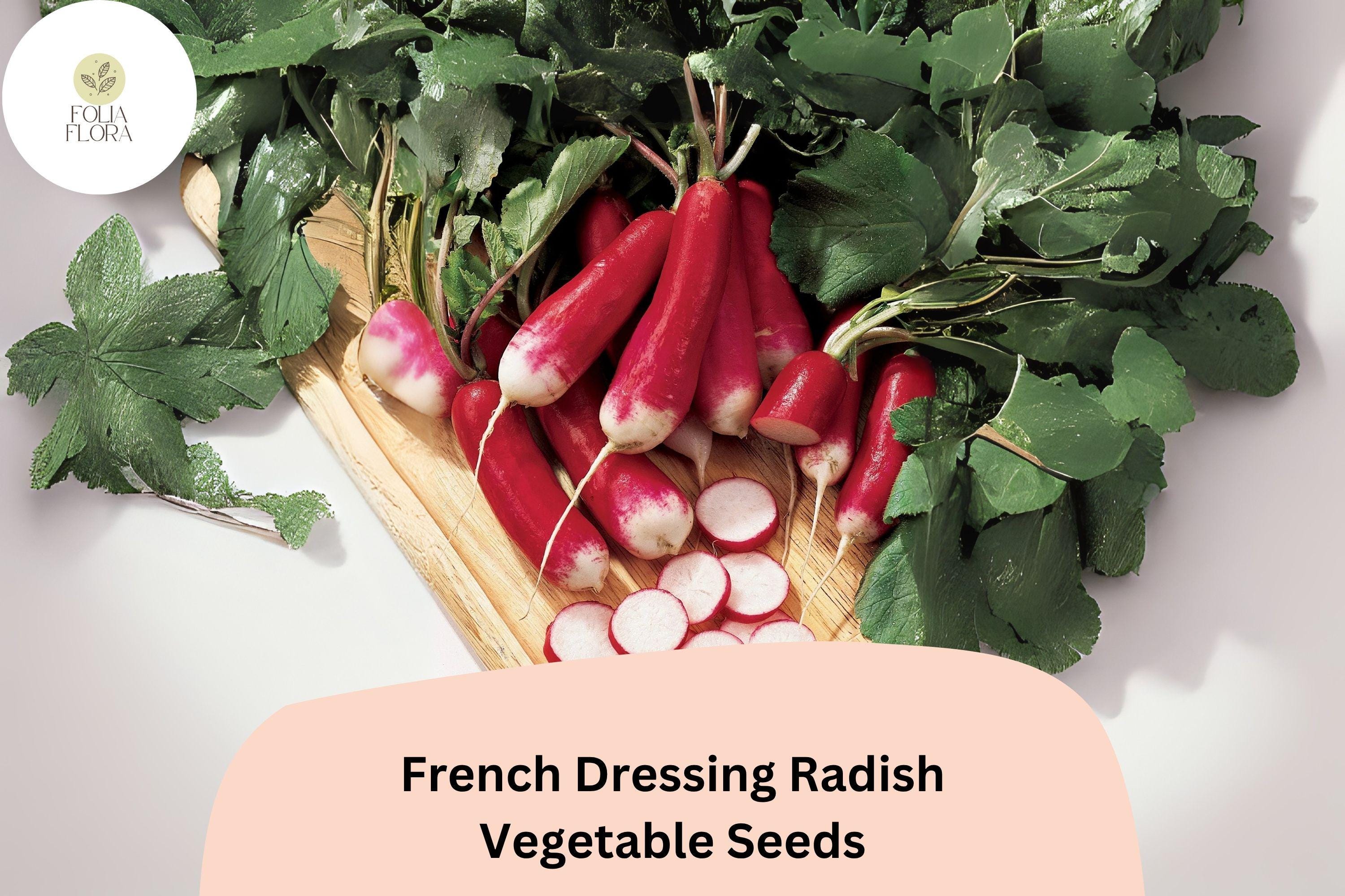 500+ French Dressing Radish Seeds | Colorful Garden Radish Variety for Planting