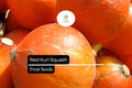 Red Kuri Squash Seeds | Heirloom Winter Squash
