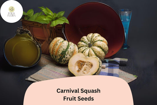 Carnival Squash Seeds | 25+ Cucurbita Pepo, Gourmet Winter Variety