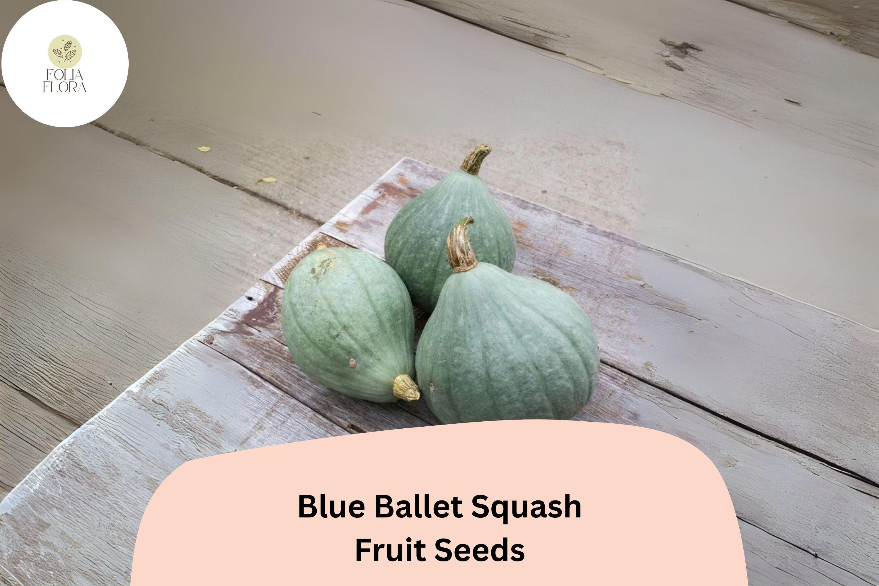 Blue Ballet Squash Seeds | Sweet Winter Squash, Baking & Roasting