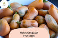 25+ Honeynut Squash Seeds | Sweet Mini Butternut | Heirloom Winter Squash for Garden Planting & Harvest
