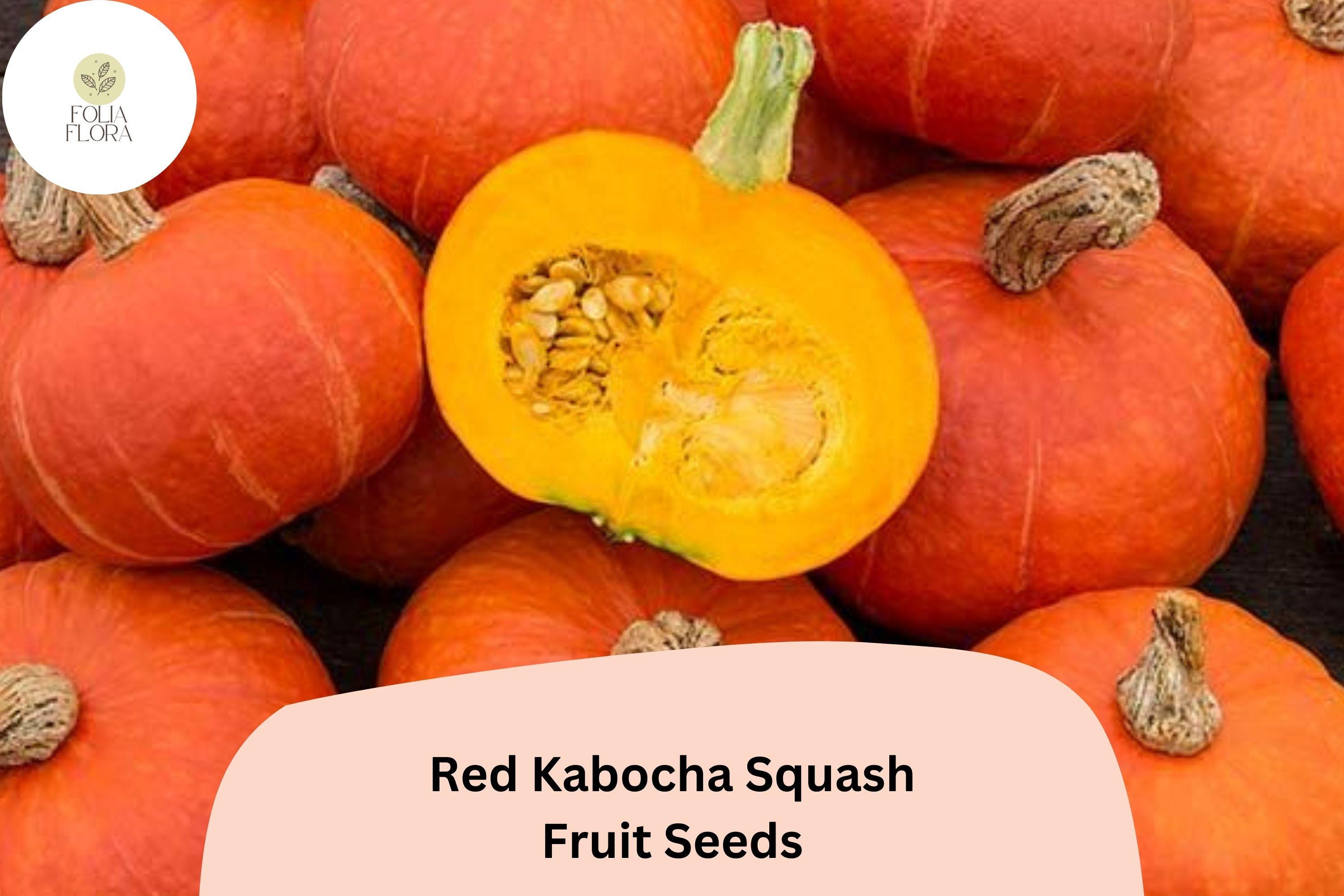 Red Kabocha Squash Seeds | Japanese Winter Variety