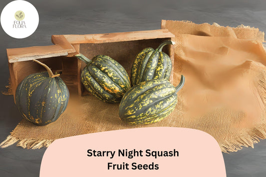 Starry Night Acorn Squash Seeds | Speckled Winter Squash