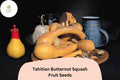 Tahitian Butternut Squash Seeds | Heirloom Winter Squash Variety