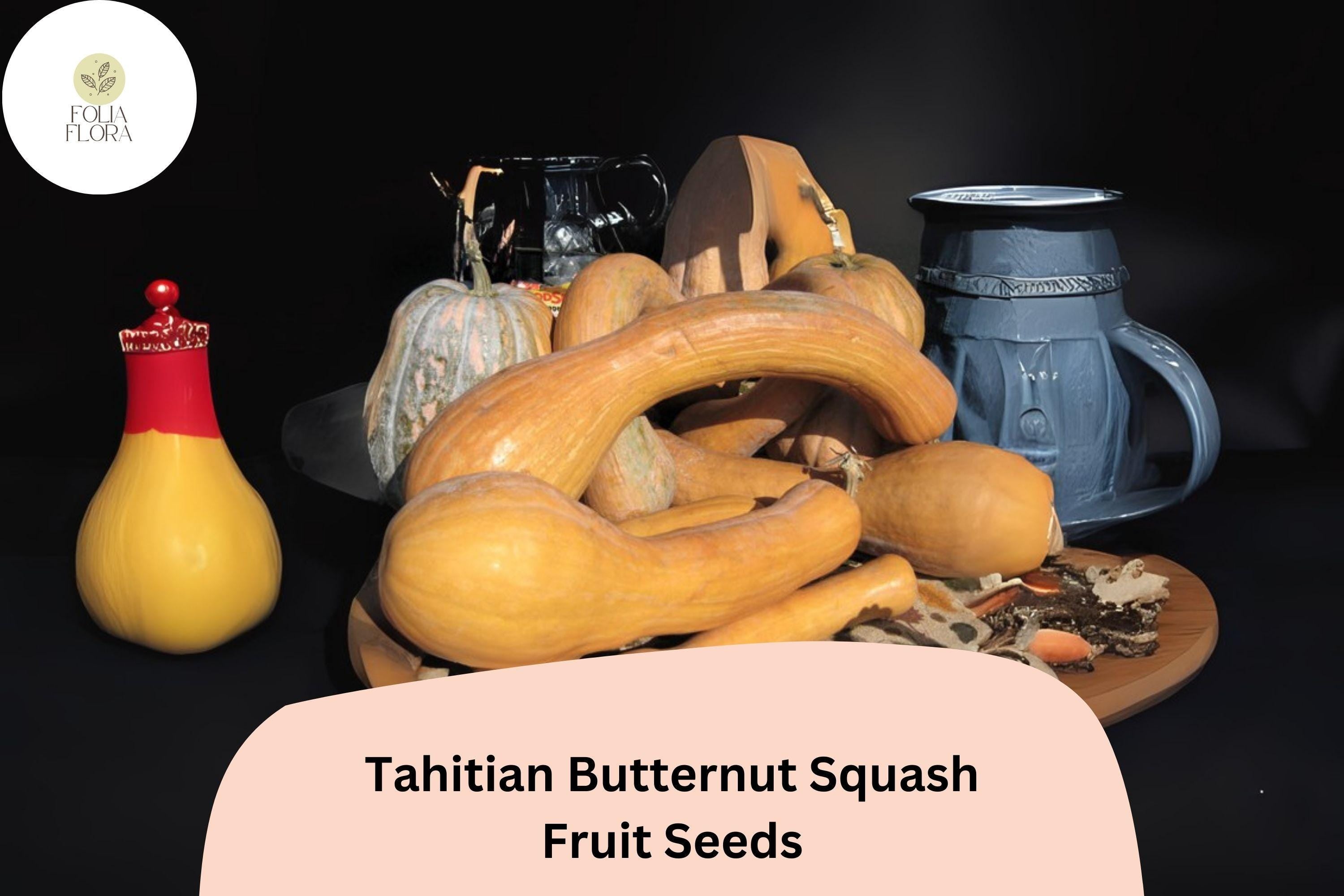 Tahitian Butternut Squash Seeds | Heirloom Winter Squash Variety
