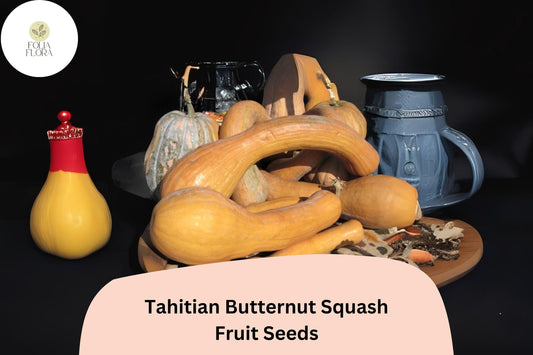 Tahitian Butternut Squash Seeds | Heirloom Winter Squash Variety