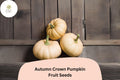 Autumn Crown Pumpkin Seeds | Cucurbita Maxima, Long Storage