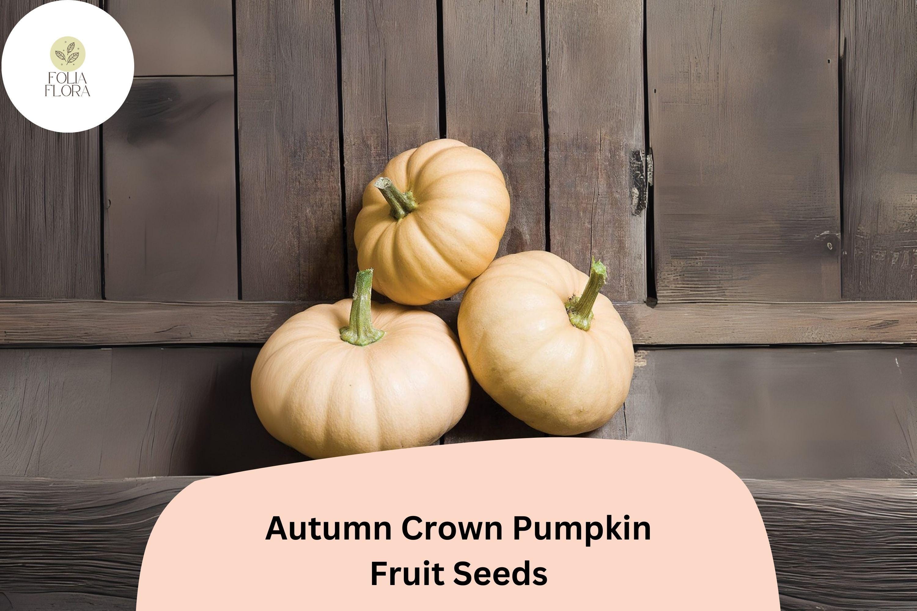 Autumn Crown Pumpkin Seeds | Cucurbita Maxima, Long Storage