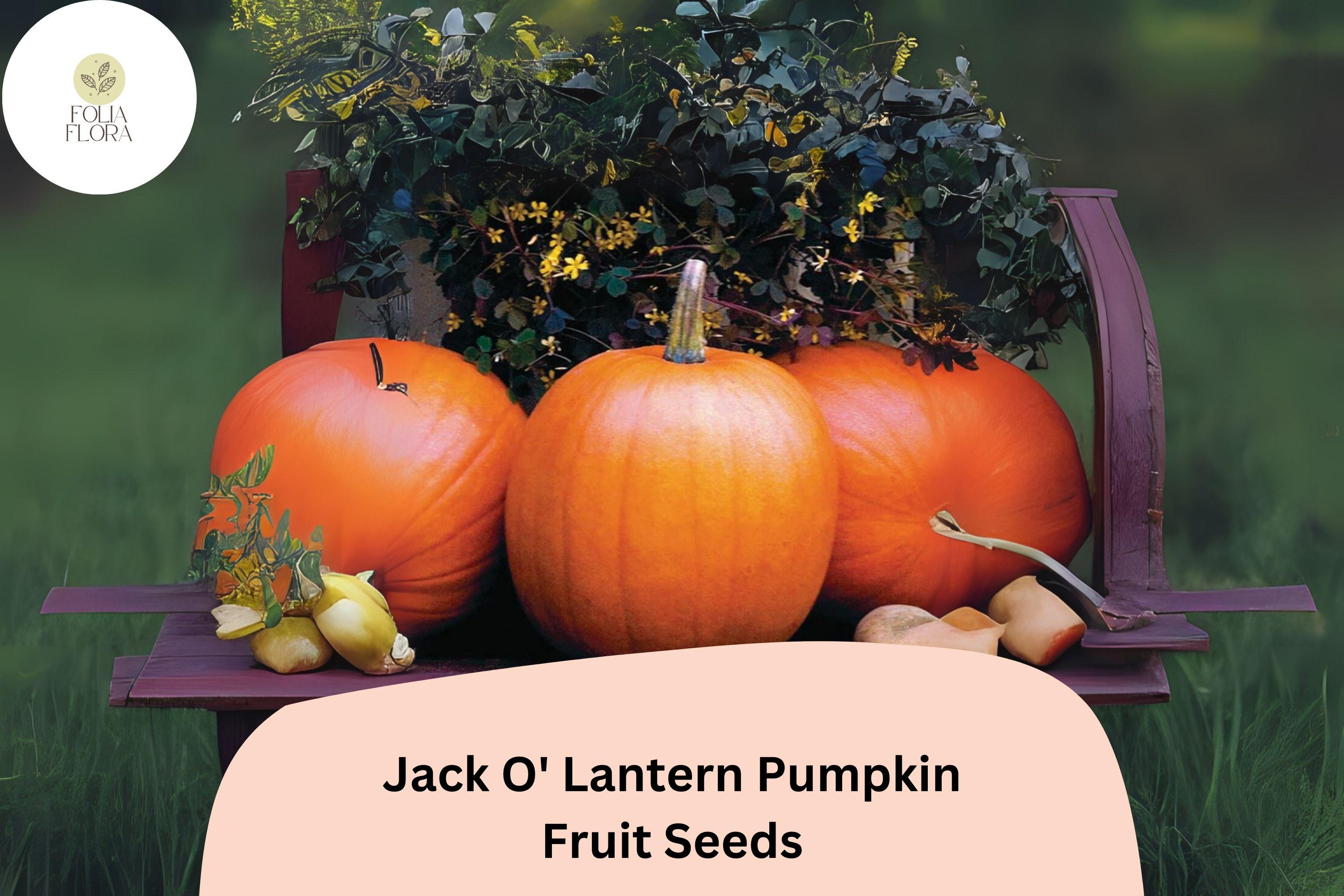 Jack O' Lantern Pumpkin Seeds | Classic Halloween Carving