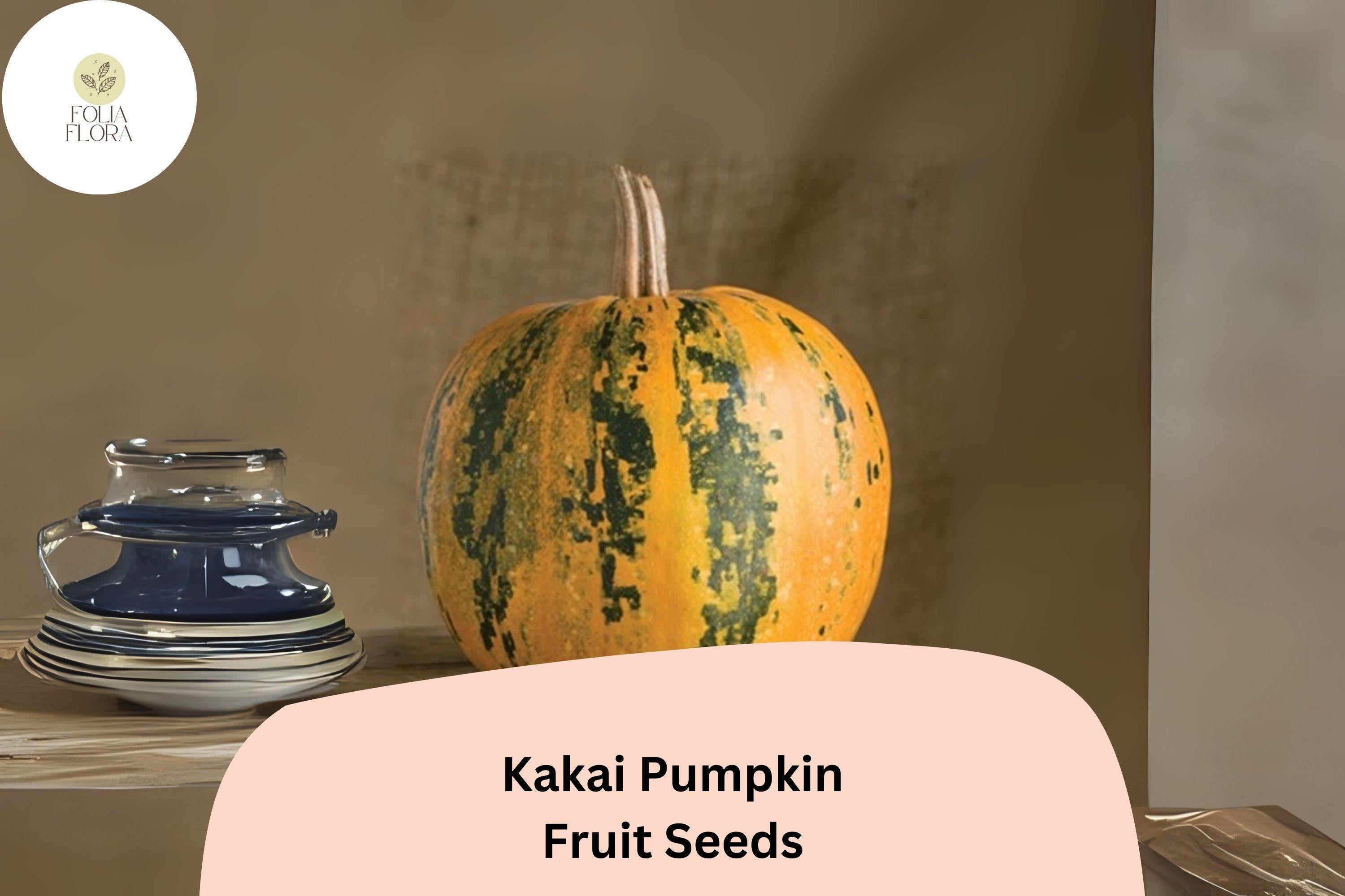 Kakai Pumpkin Seeds (25+) | Heirloom Hulless Variety for Roasting