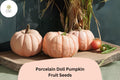 Porcelain Doll Pumpkin Seeds | Pink Heirloom, Sweet Pumpkins