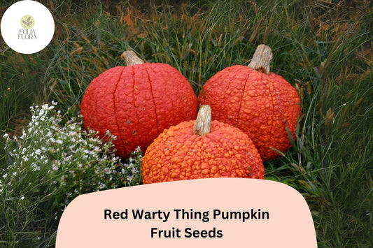 Red Warty Thing Pumpkin Seeds | Heirloom Bumpy Pumpkin