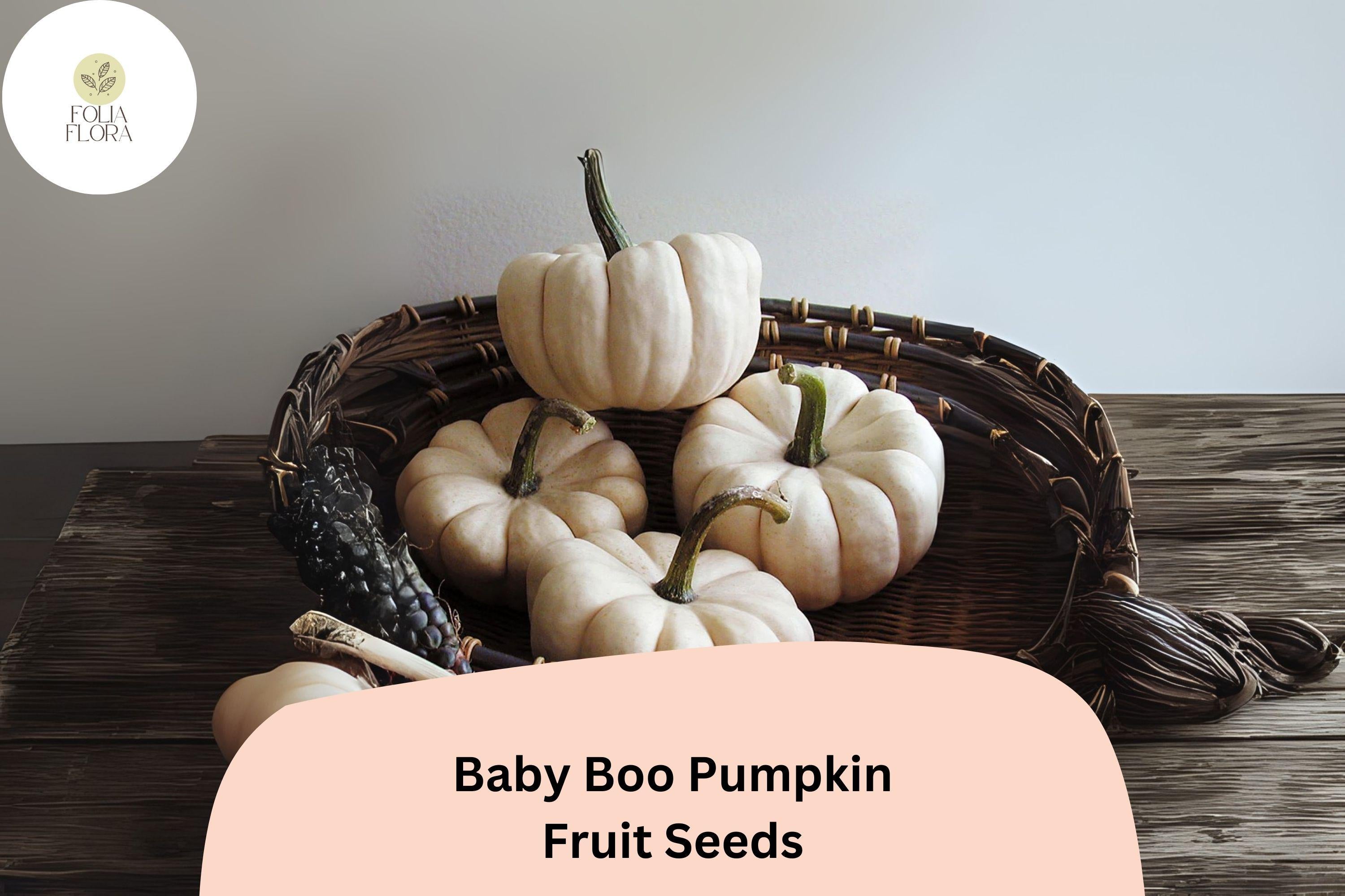 Baby Boo Pumpkin Seeds | Mini White Pumpkins, Compact Vines