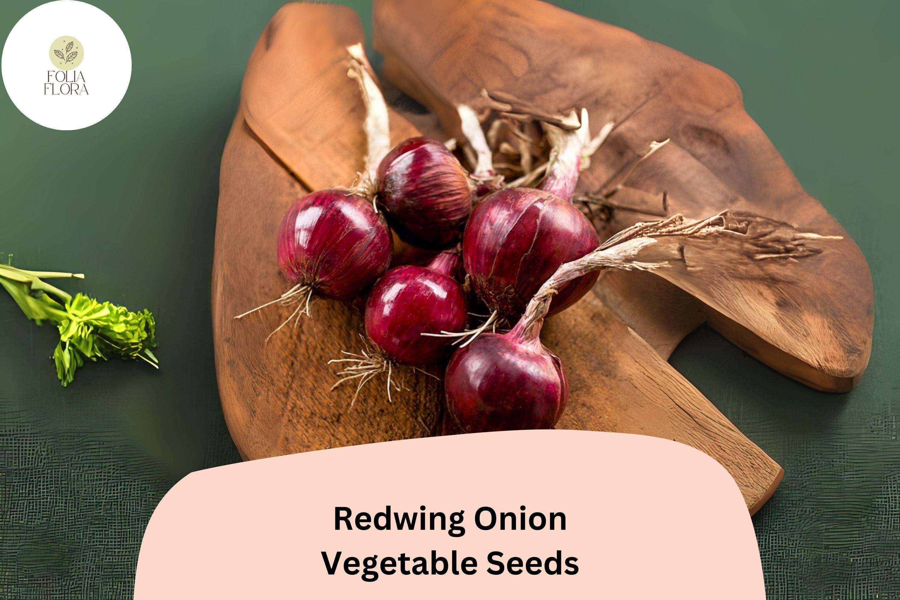 500+ Redwing Onion Seeds | Long Storage, Firm Bulbs