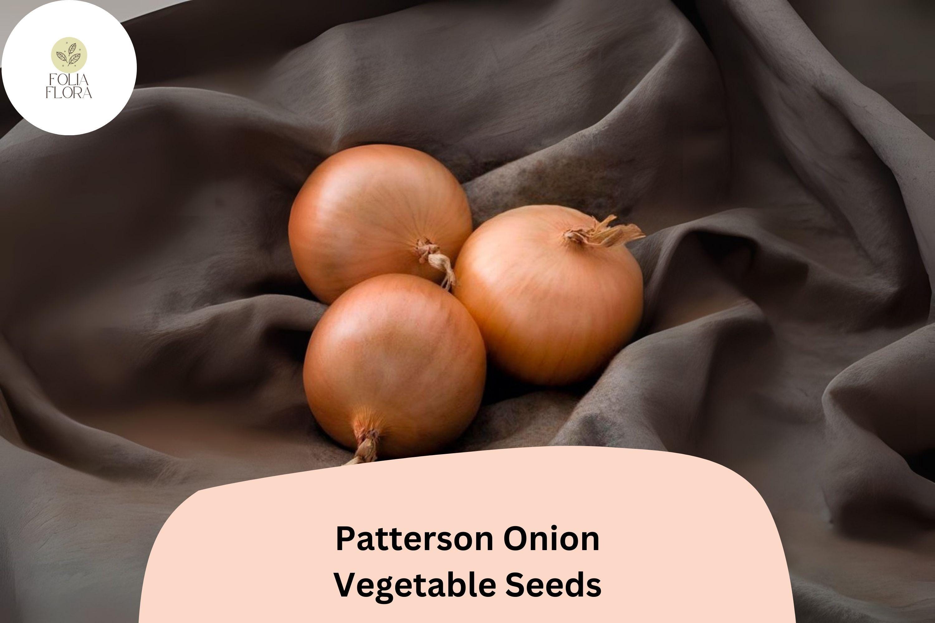 Patterson Onion Seeds | Golden Yellow Heirloom, Long-Day Storage