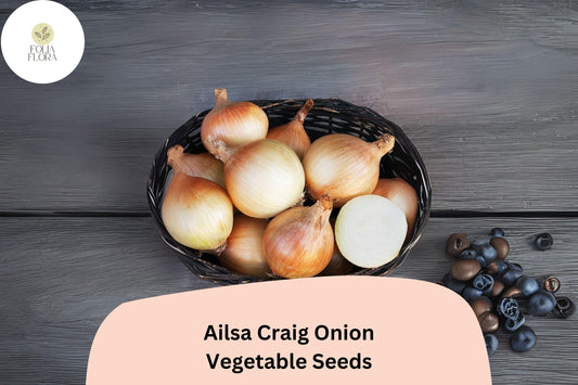 Ailsa Craig Onion Seeds | Heirloom Giant Sweet Onion