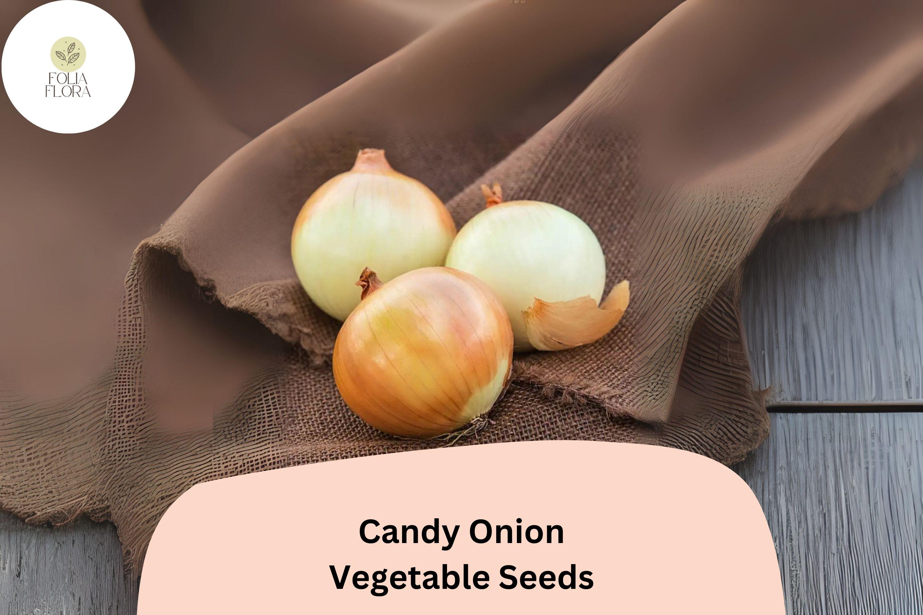 500+ Candy Onion Seeds | Sweet Hybrid Allium cepa