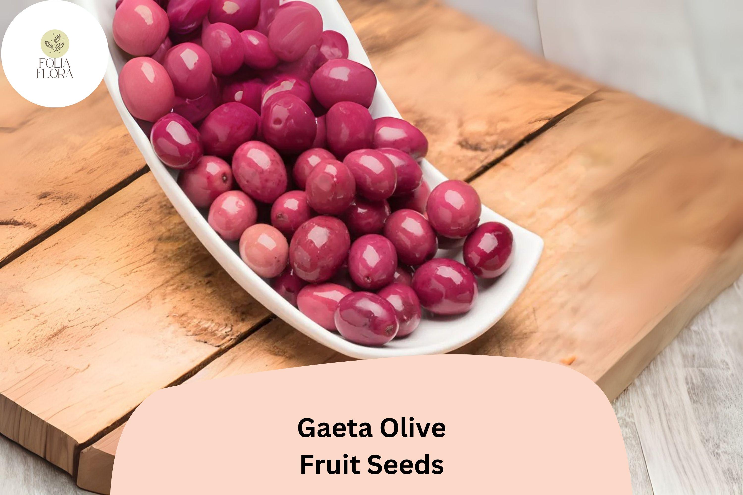Gaeta Olive Tree Seeds | Italian Black Olive, Mediterranean Planting