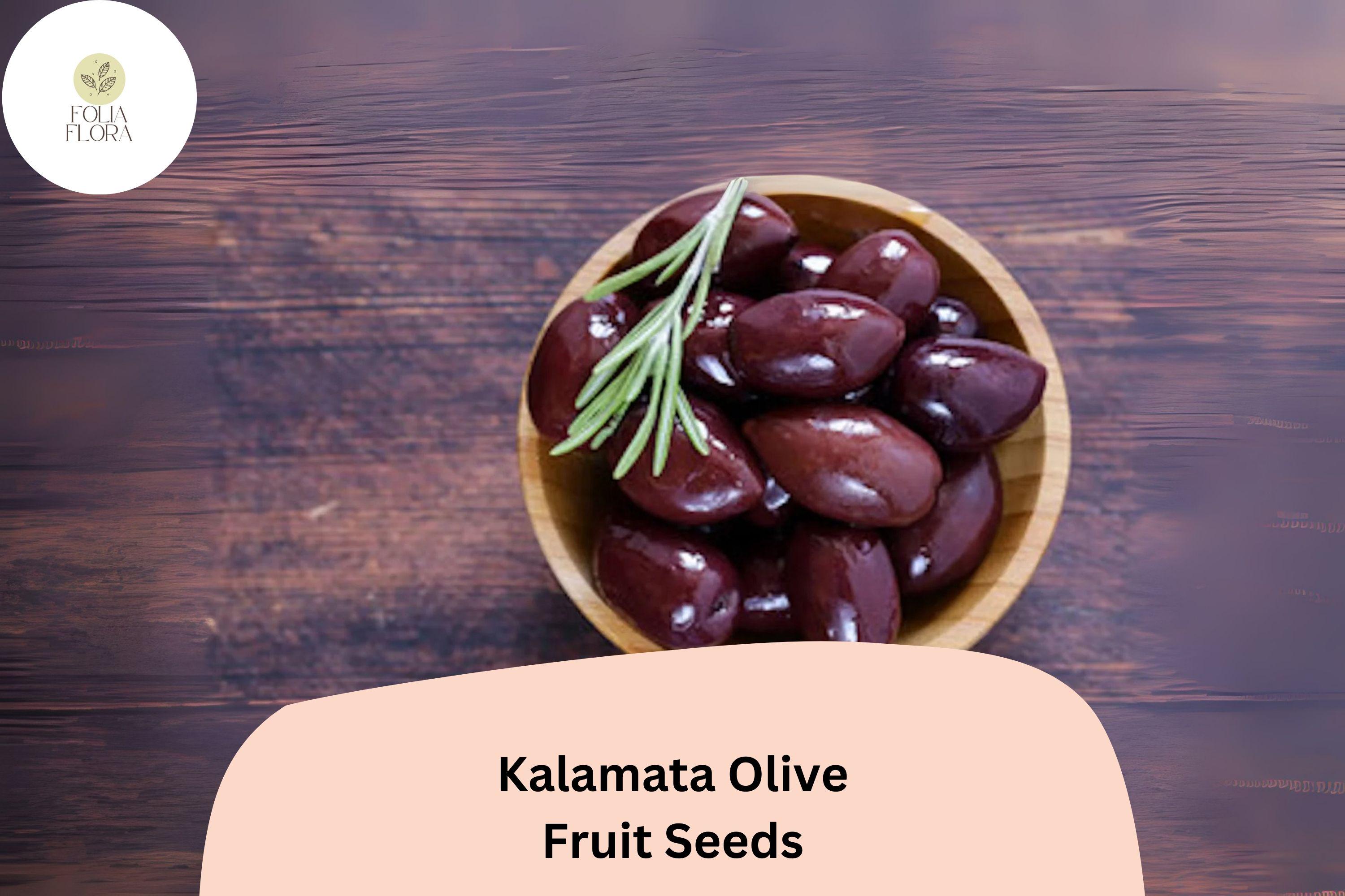Kalamata Olive Seeds | Olea europaea, Greek Variety