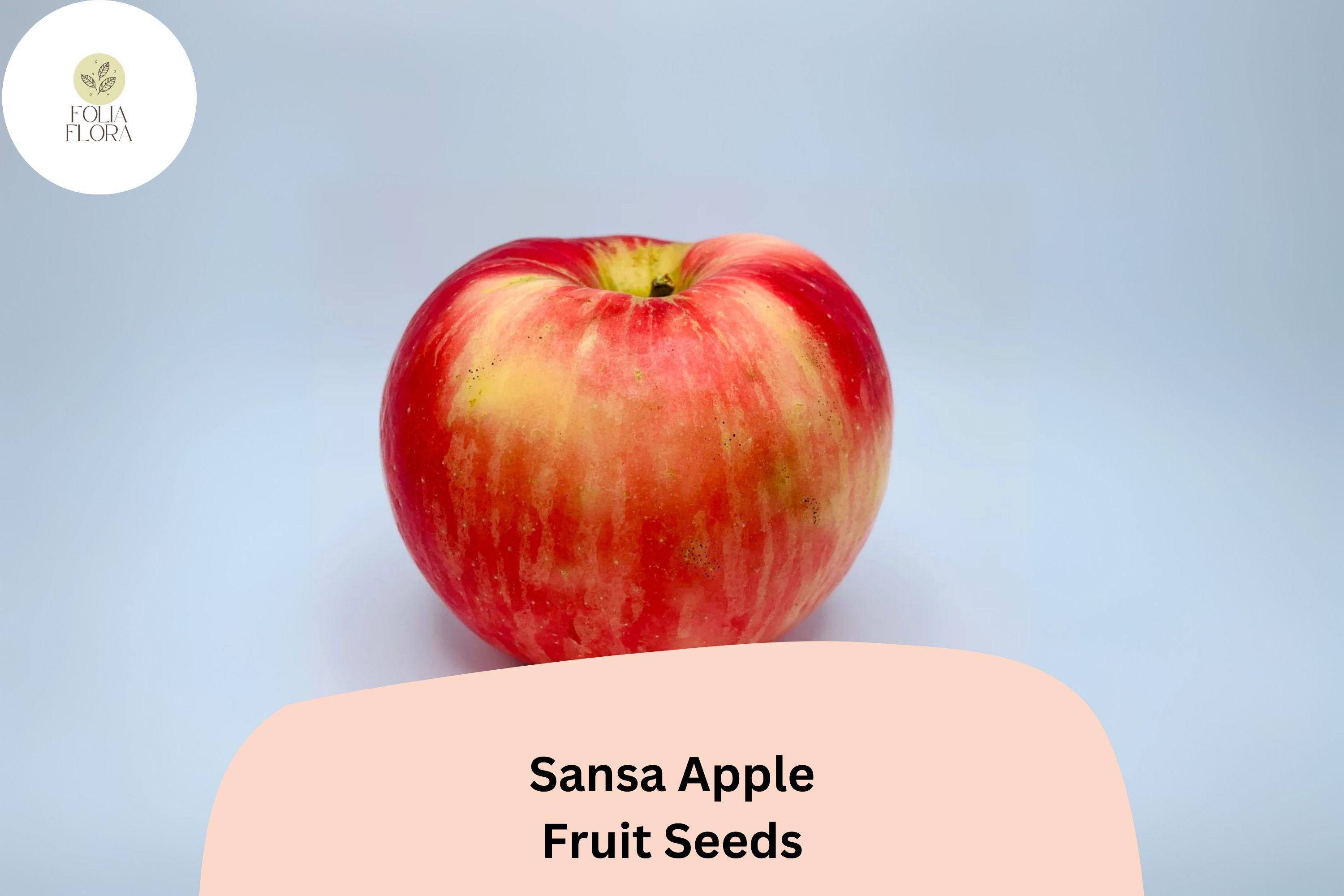Sansa Apple Seeds (25+) | Early-Season Sweet Variety