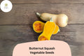 Heirloom Butternut Squash Seeds (25+) | Winter Squash, Sweet Nutty Flesh