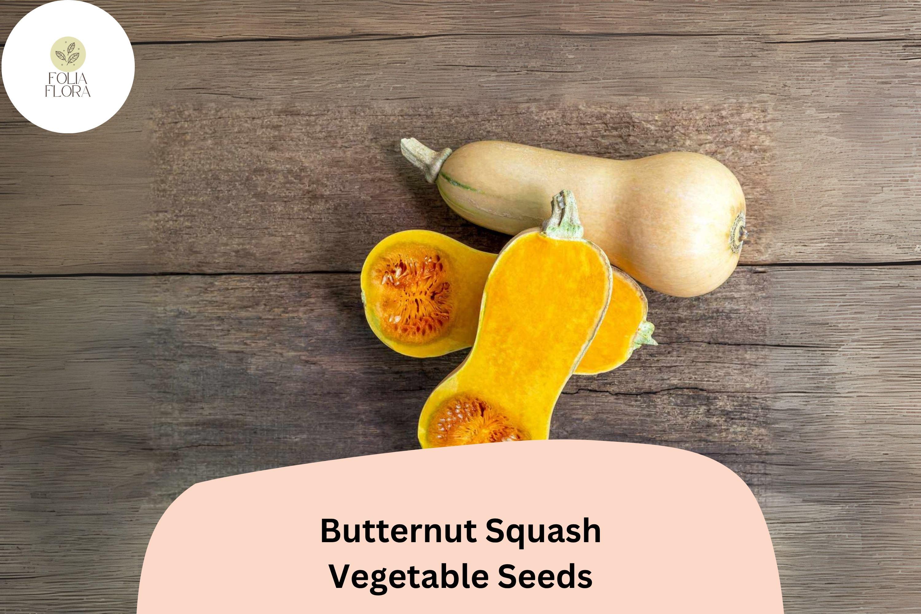 Heirloom Butternut Squash Seeds (25+) | Winter Squash, Sweet Nutty Flesh