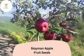 Stayman Apple Seeds - Heirloom Tart-Sweet Malus domestica for Growing, Juicy, Red-Skinned Fruit