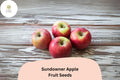 25+ Sundowner Apple Seeds | Late-Season, Sweet-Tart Variety