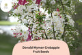 Donald Wyman Crabapple Seeds | White Blossoms, Red Fruit