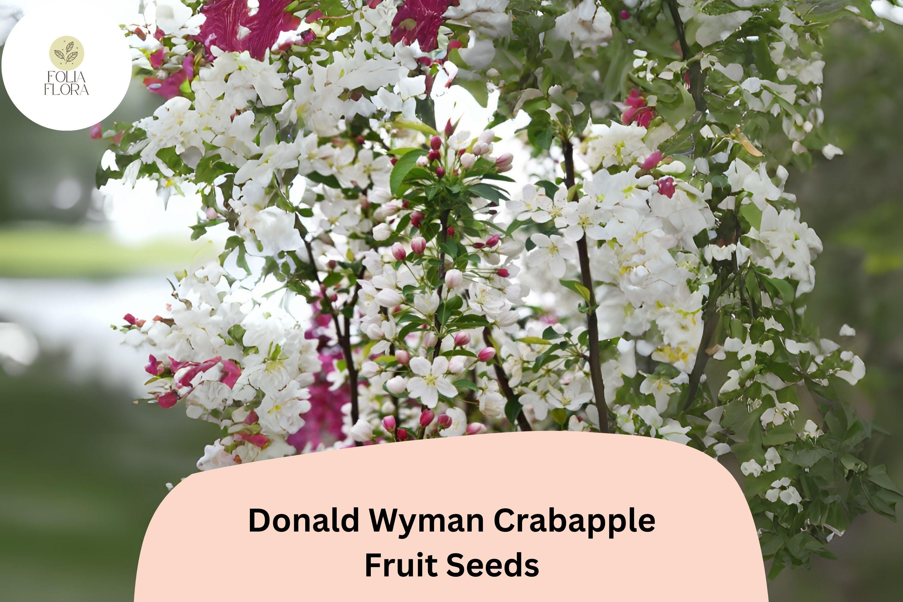 Donald Wyman Crabapple Seeds | White Blossoms, Red Fruit