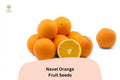 Navel Orange Seeds | Sweet, Seedless Citrus sinensis