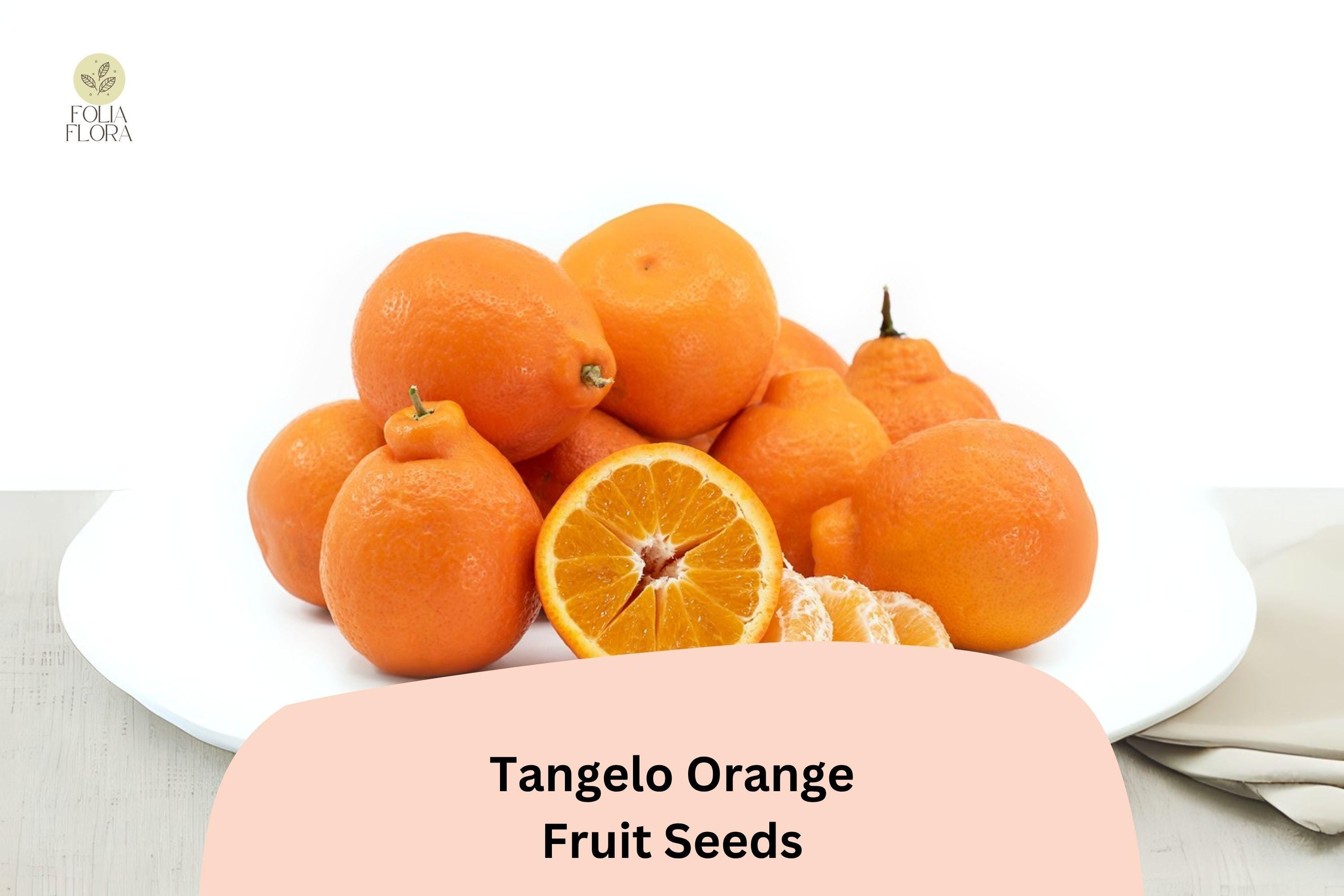Tangelo Orange Seeds | Sweet-Tart Tangerine Grapefruit Hybrid