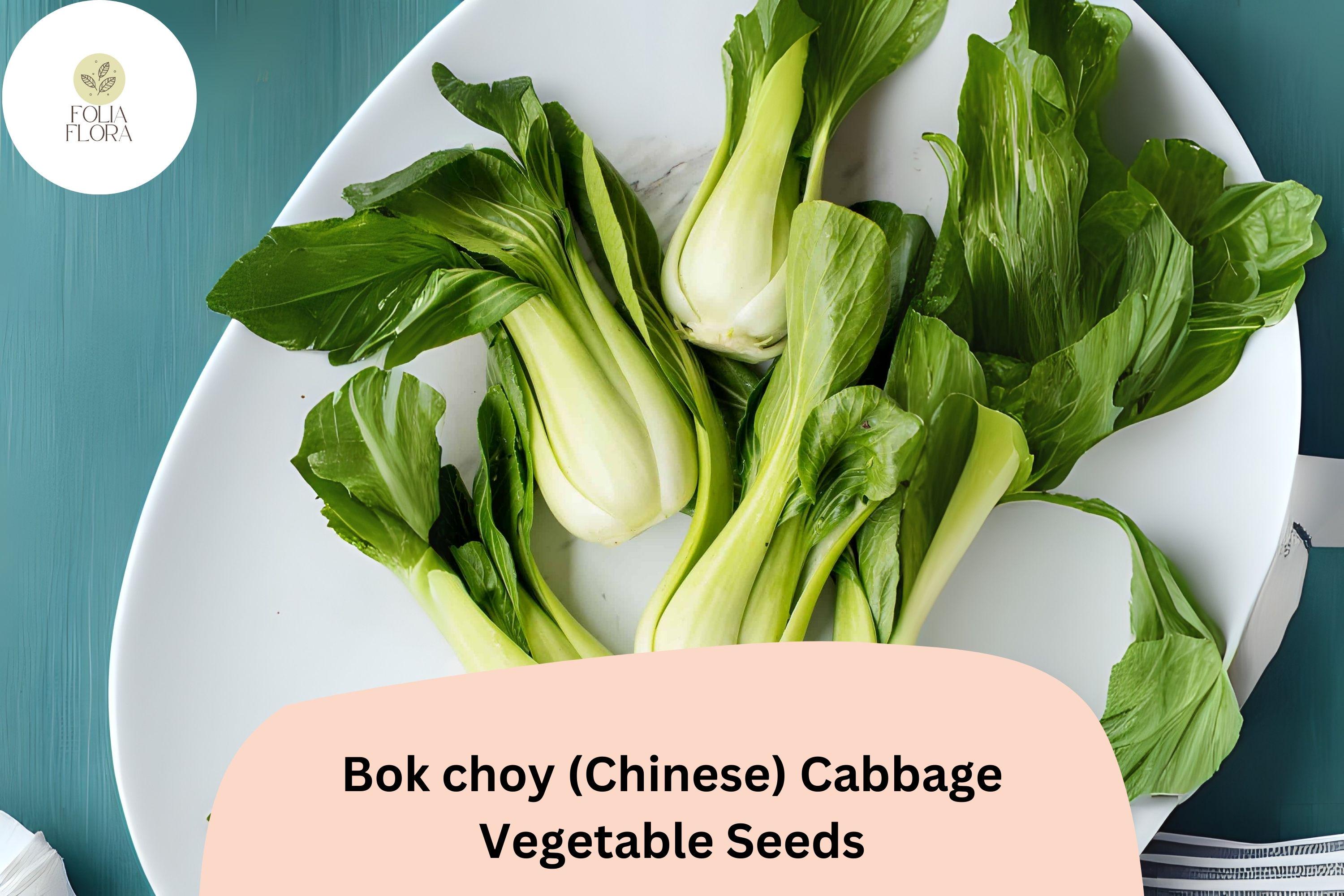 500+ Bok Choy Seeds | Chinese Cabbage | Heirloom Asian Vegetable | Garden Planting