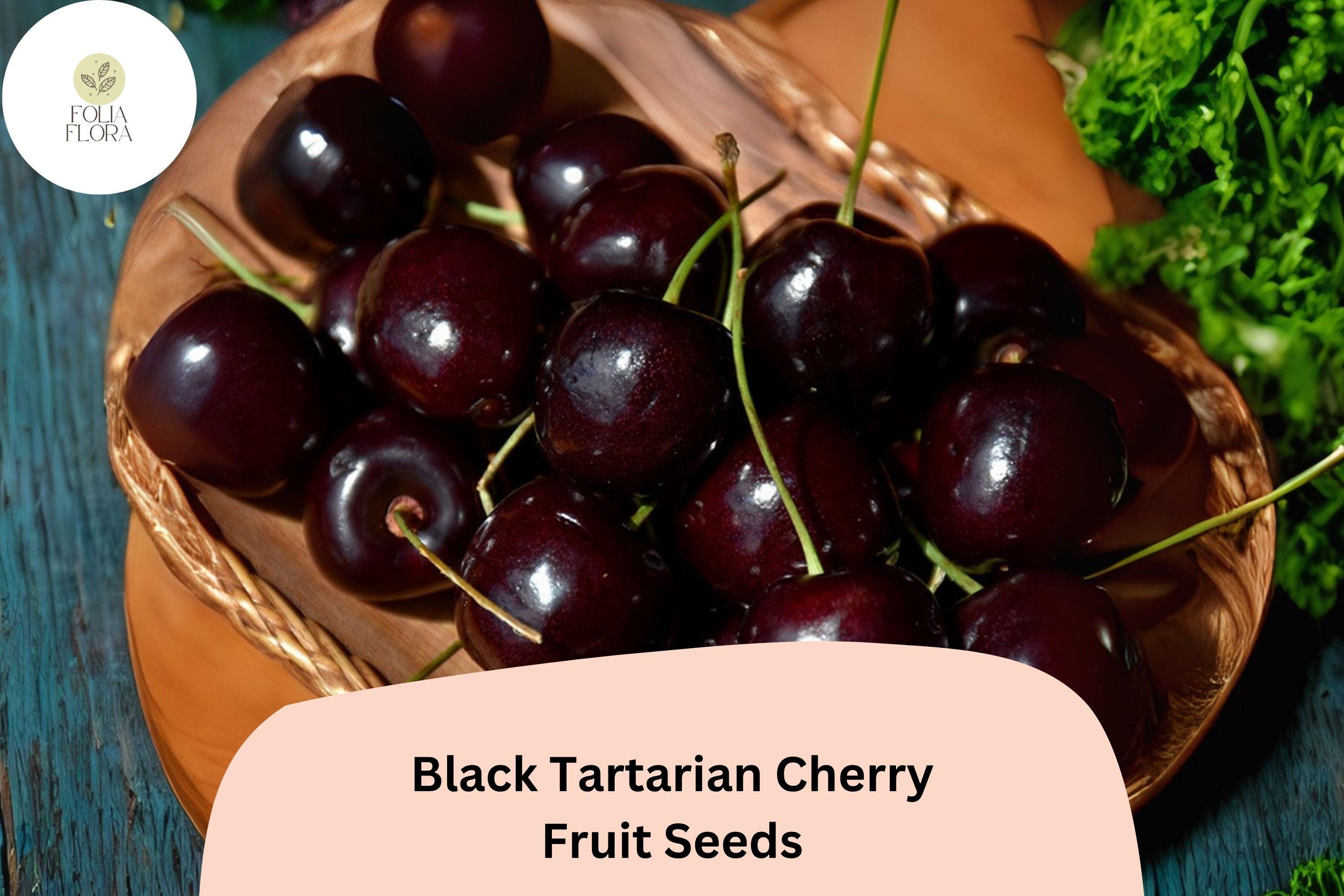 Black Tartarian Cherry Tree Seeds | Sweet Dark Fruit