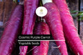 Cosmic Purple Carrot Seeds | Heirloom Vegetable Garden Planting