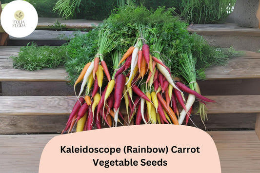 1000+ Kaleidoscope Rainbow Carrot Seeds | Colorful Heirloom Carrots for Garden Planting | Mixed Vegetable Seeds