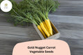 Gold Nugget Carrot Seeds | Golden-Yellow Heirloom Vegetable
