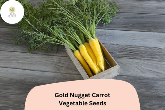 Gold Nugget Carrot Seeds | Golden-Yellow Heirloom Vegetable