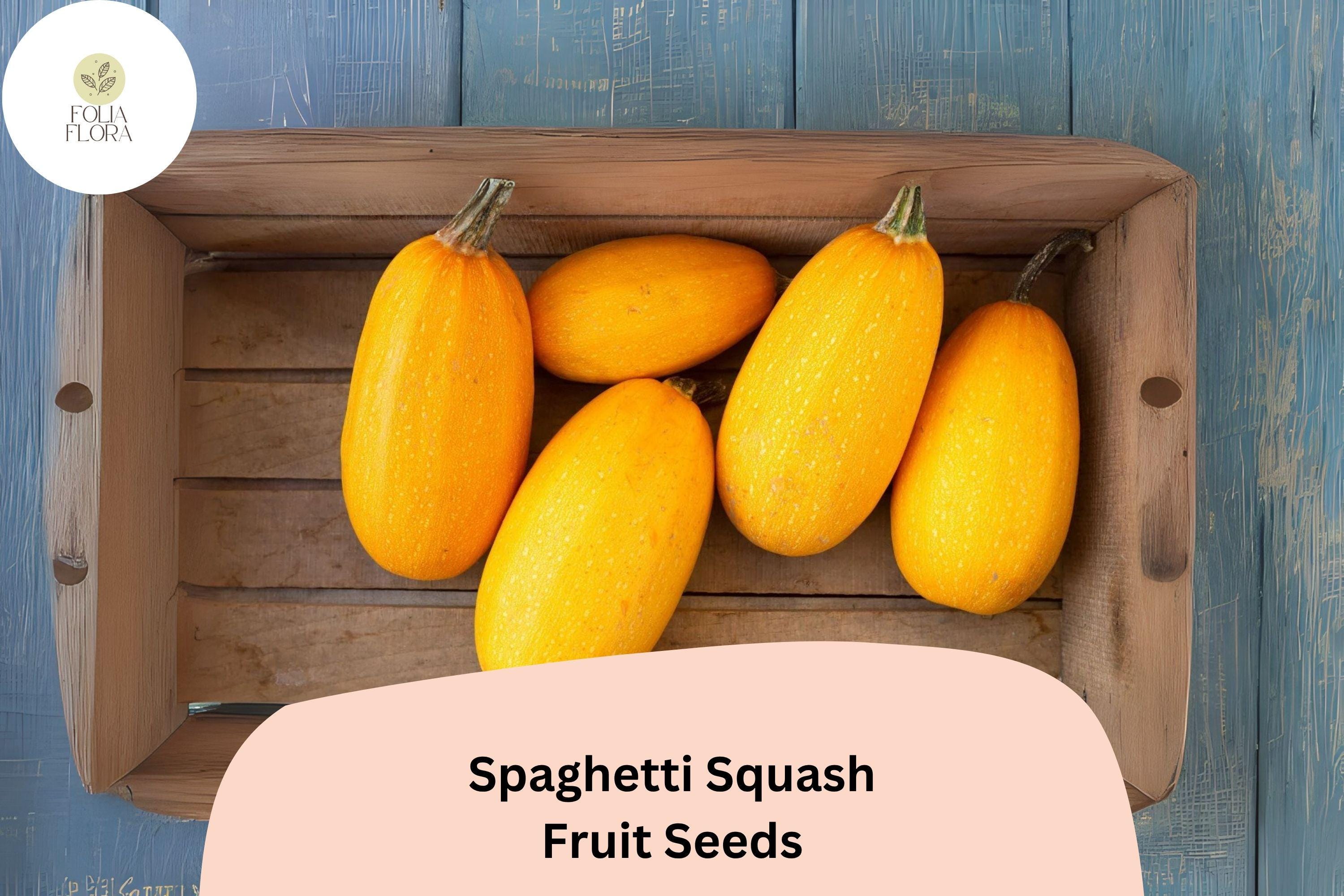 25+ Spaghetti Squash Seeds | Winter Squash Variety for Nutritious Pasta Alternative