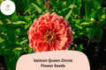 Salmon Queen Zinnia Seeds | Pink-Orange Blooms, Pollinator Friendly