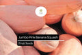 Banana Squash Seeds | Large Winter Squash, Baking & Roasting