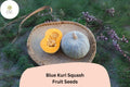 Blue Kuri Squash Seeds | Cucurbita Maxima, Winter Garden Planting