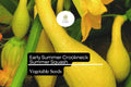 Crookneck Squash Seeds | Yellow Summer Heirloom Variety