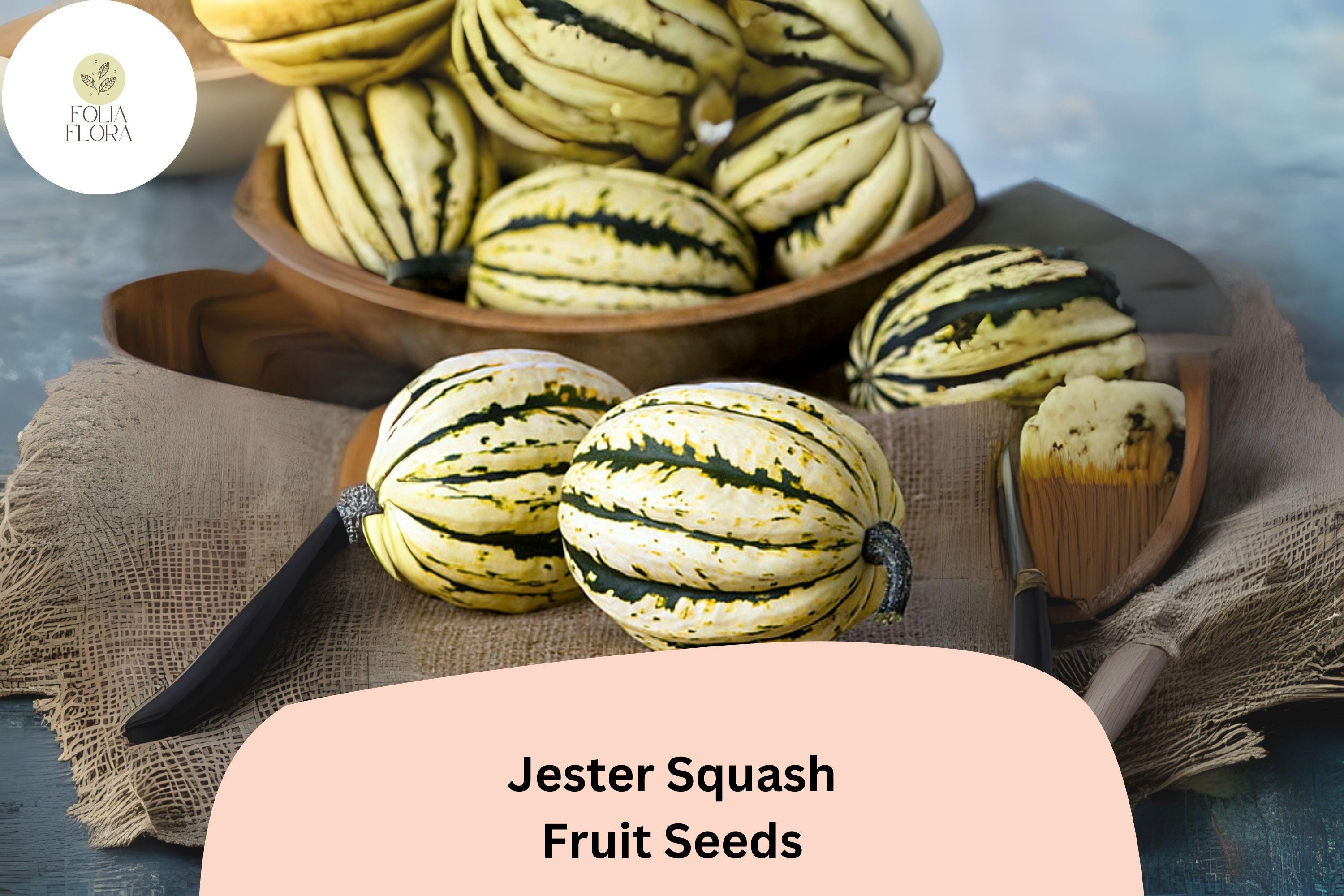 25+ Jester Squash Seeds | Striped Acorn-Delicata Hybrid | Sweet Winter Squash for Garden Planting & Harvest